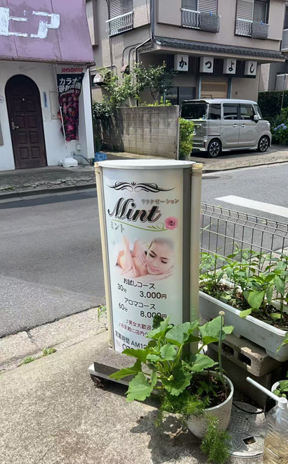 �K�u��@�����N�[�[�V���������Y�G�X�e�uMint�v